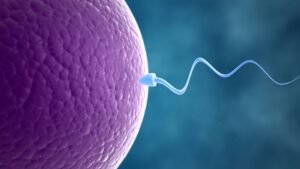 infertility
