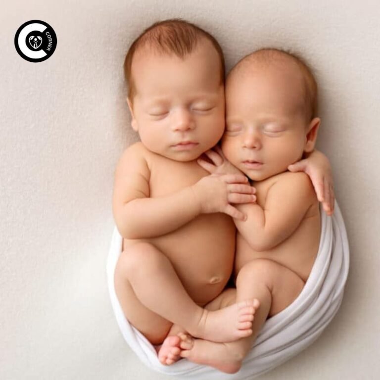 twin babies pregnancy