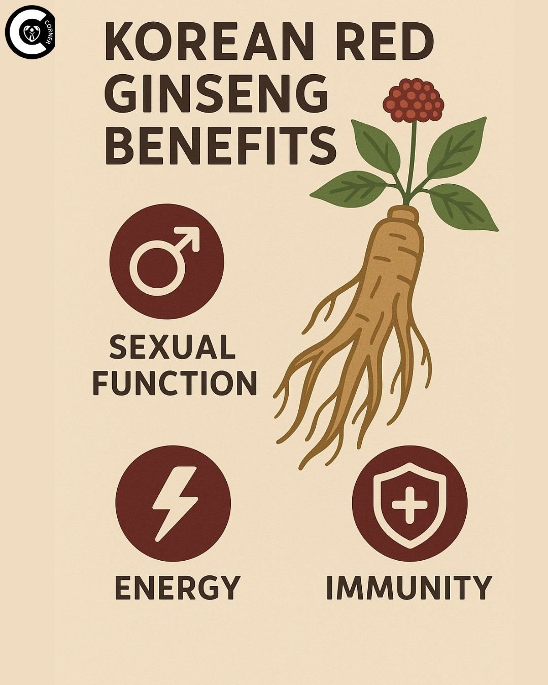 Infographic: Korean red ginseng benefits for sexual function, energy and immunity