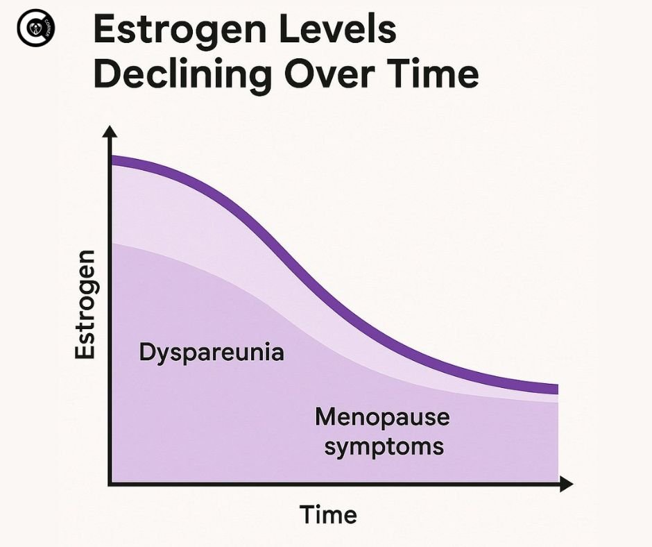 Estrogen levels graph declining over time linked to dyspareunia and menopause symptoms