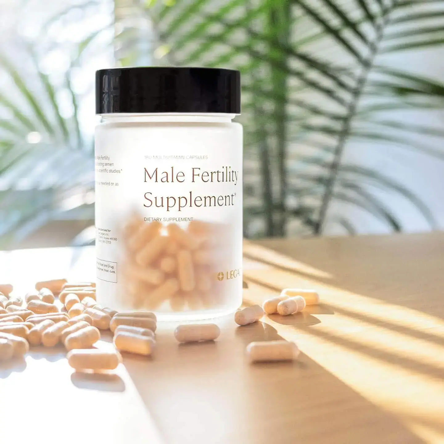 Male-fertility-supplement-v2