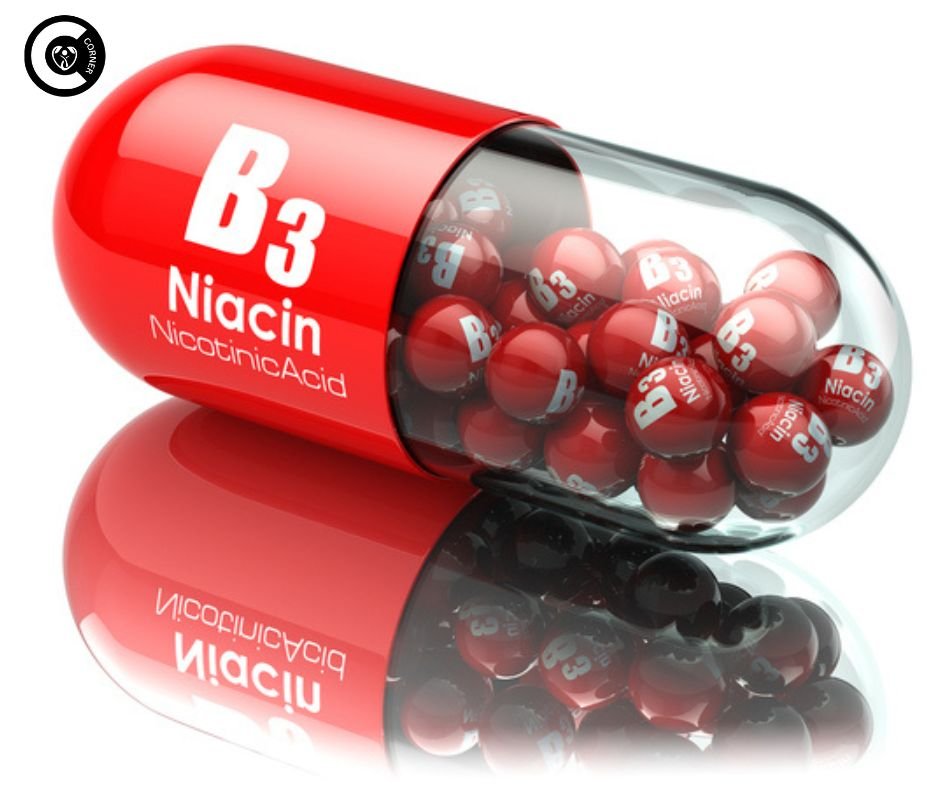 Roadmap Niacin's journey through the body to fight ED