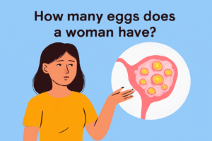 how many eggs do a woman have