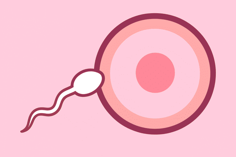 Icon illustrating the concept of conception, with a sperm cell approaching an egg, representing the goal of fertility tracking.